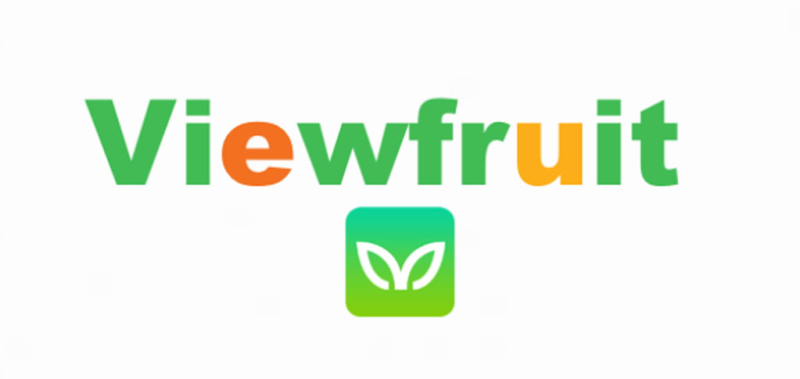Viewfruit: Cơ hội kiếm tiền dễ dàng với các cuộc khảo sát thú vị